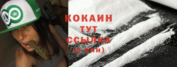 гашик Аркадак
