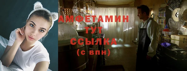 сатива Армянск