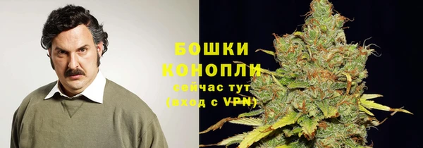 сатива Армянск