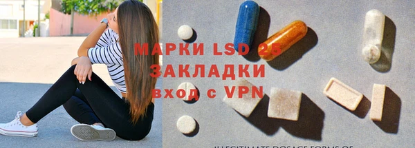 гашик Аркадак