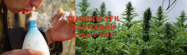 гашик Аркадак