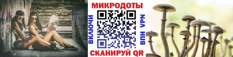 Галлюциногенные грибы Psilocybine cubensis  Купить где  Всеволожск 